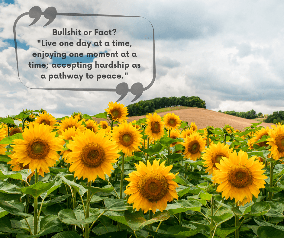 Bullshit or Fact? "Live one day at a time, enjoying one moment at a time; accepting hardship as a pathway to peace. - JohnVsGBM