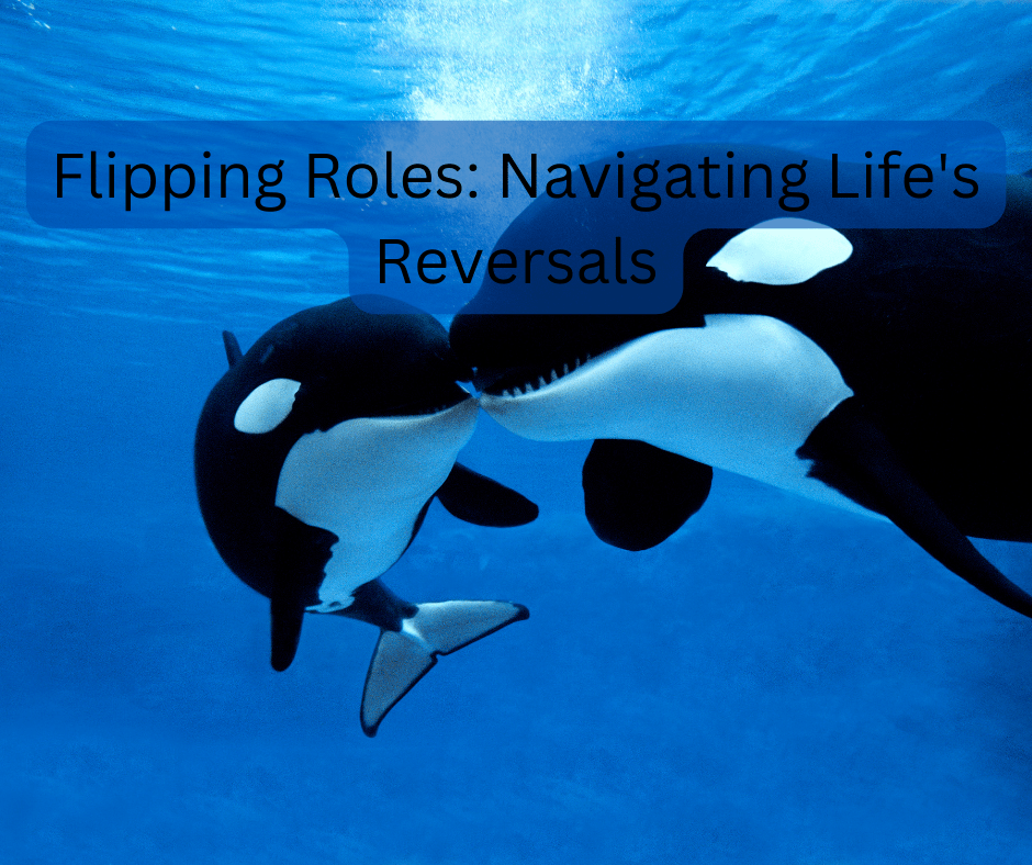 Flipping Roles: Navigating Life's Reversals - JohnVsGBM