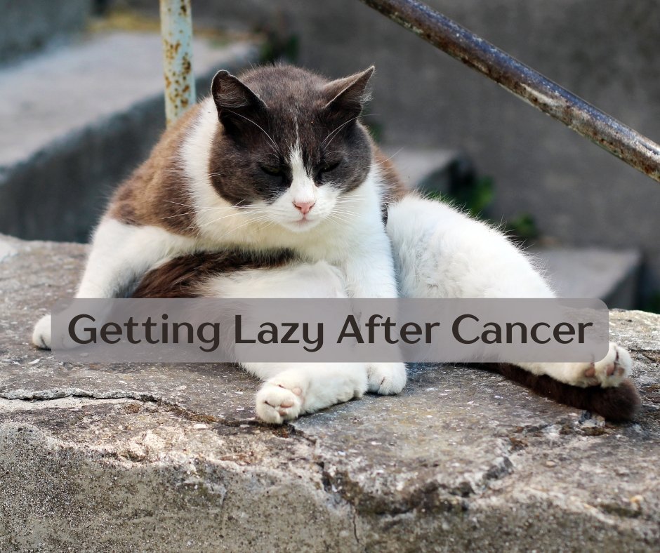 Getting Lazy After Cancer - JohnVsGBM