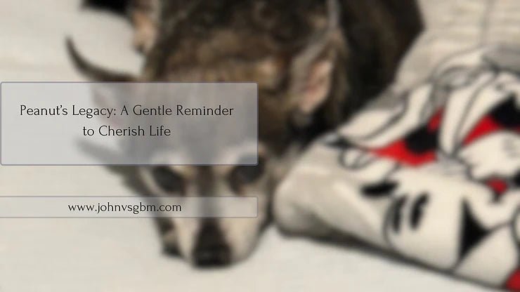 Peanut’s Legacy: A Gentle Reminder to Cherish Life - JohnVsGBM