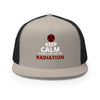 Radiation Brain Cancer Trucker Cap - JohnVsGBMSilver/ Black