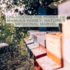 Unlocking the Power of Manuka Honey: Nature's Medicinal Marvel - JohnVsGBM