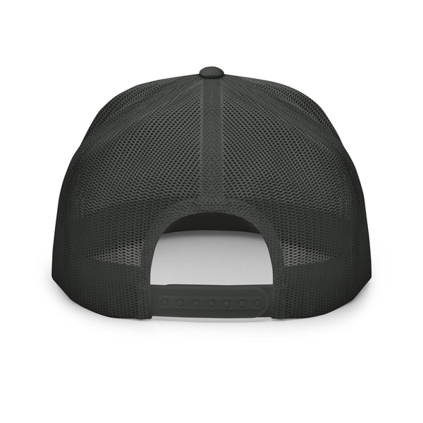 Optune Powered Cap - JohnVsGBMCharcoal